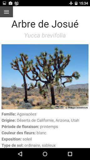 Au Cactus screenshot 7
