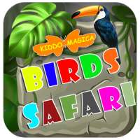 Birds Safari