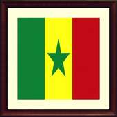 TV Senegal Info channel logo