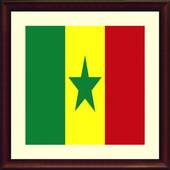 TV Senegal Info channel 1.0