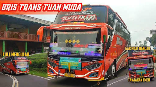 Wallpaper: Bus Trans Tuan Muda screenshot 1