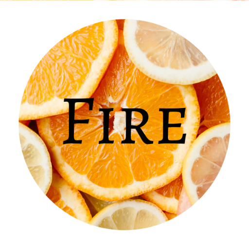 Fire Browser icon