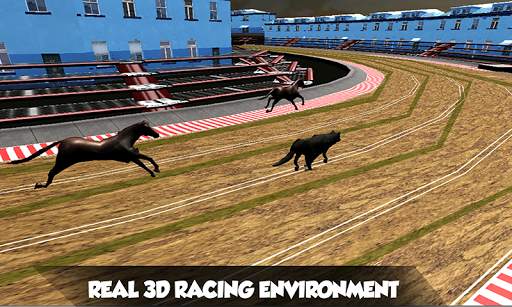 Crazy Real Dog Race: Greyhound Racing Game screenshot 2