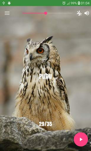 Bird Sounds screenshot 7