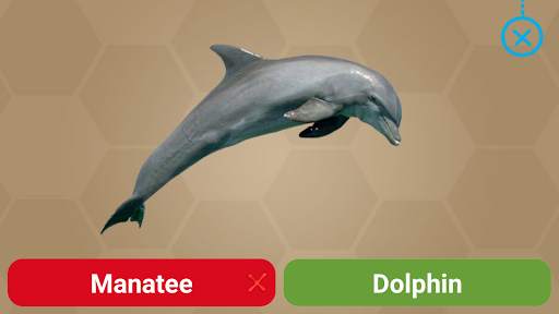 Animals for Kids - Flashcards, Puzzles & Sounds screenshot 20