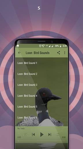 Loon Sounds screenshot 3