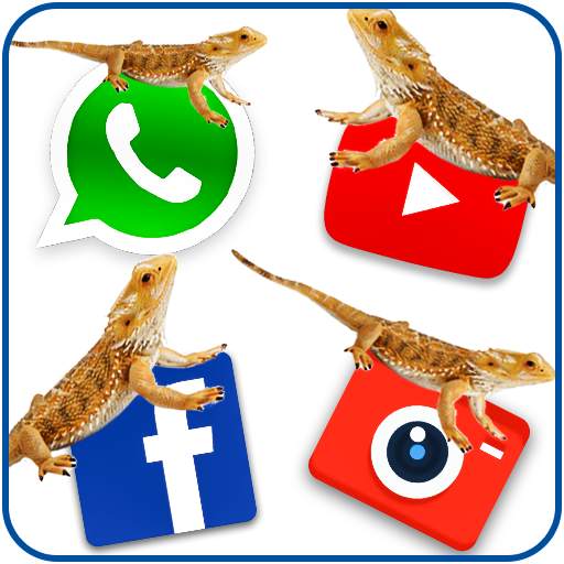 Lizard on social apps – funny prank 2018 1.3