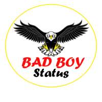 Bad Boy Status logo