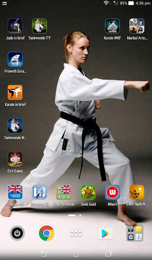 Martial Arts Wallpaper screenshot 10