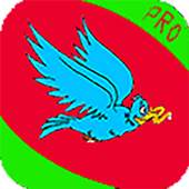 Bird Eating Worm 1.1