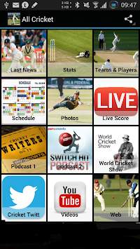The best cricket screenshot 2