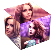 ikon Collage Maker 3D