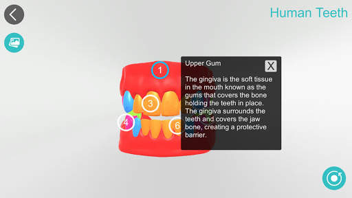 Anatomy 3D screenshot 8