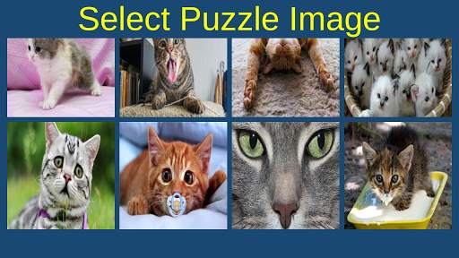 Jigsaw Puzzle Funny Cute Cats screenshot 1