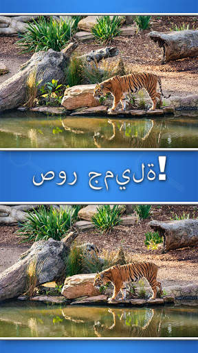 Find the Difference 3 تصوير الشاشة