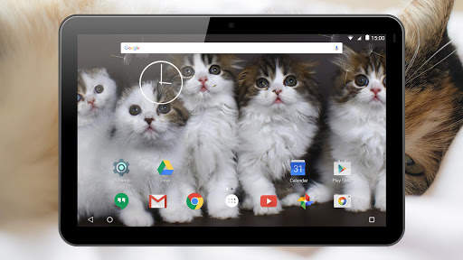 Kittens Live Wallpaper screenshot 14