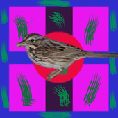 দেশাত্মবোধক গান icon