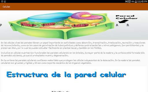 Organelos de la Celula screenshot 10