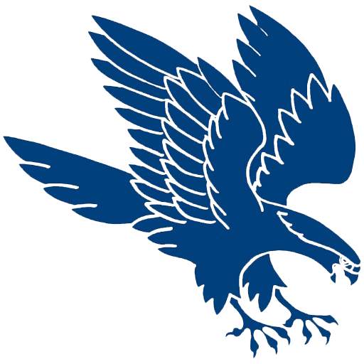 Falcon Messenger 4.0