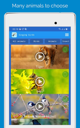 Singing Birds स्क्रीनशॉट 6