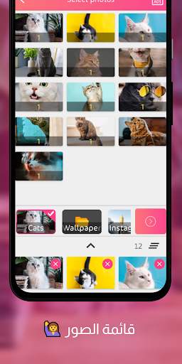 Images Music to Romantic Love screenshot 3