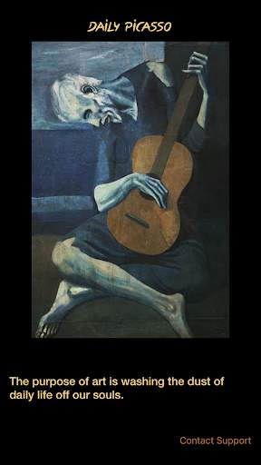 Daily Picasso screenshot 2