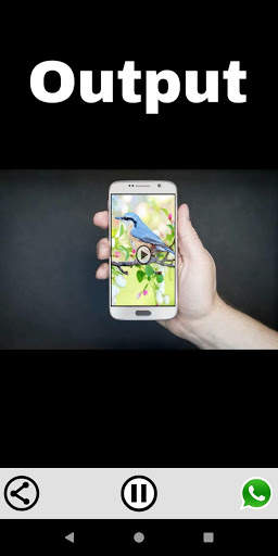 Video Camera Status - Status Maker App - StatusV screenshot 1