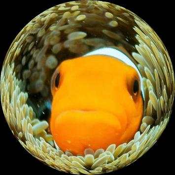 Fisheye Magick 5 تصوير الشاشة