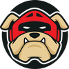 Boxer Internet - Browser icon