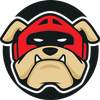 Boxer Internet - Browser 1.0.6