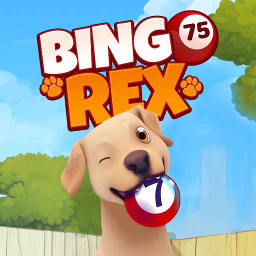 Bingo Rex 42.11.01