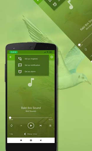 Bird Sounds स्क्रीनशॉट 7