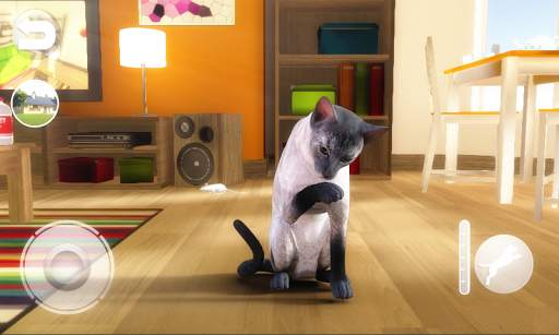 Talking Blue Siamese Cat screenshot 1