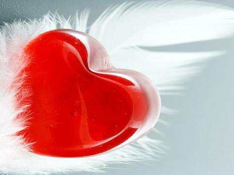 Download Love Wallpapers screenshot 2