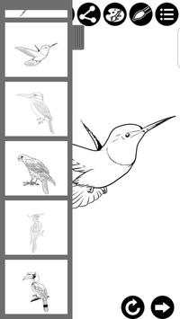 How To Draw Birds screenshot 3