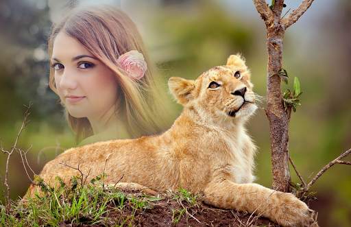 Lion Photo Frames screenshot 4