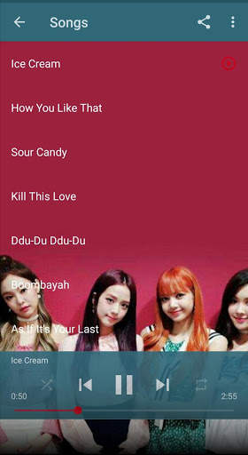 Blackpink 2020 Offline (33 Songs) screenshot 2