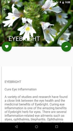 Medicinal Plants screenshot 4