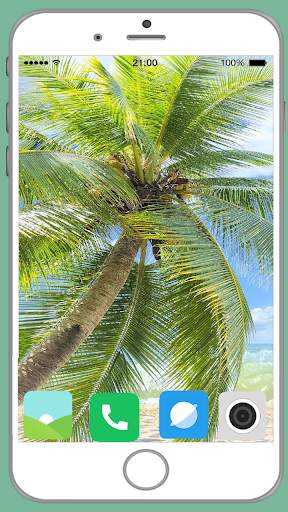 Palm Tree Full HD Wallpaper screenshot 4