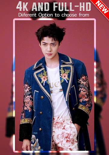 Sehun Wallpapers HD 2 تصوير الشاشة