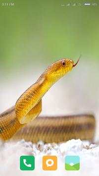 HD Snake Wallpapers screenshot 5