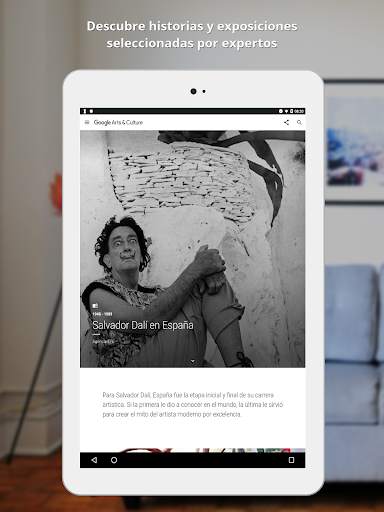 Google Arts & Culture screenshot 11
