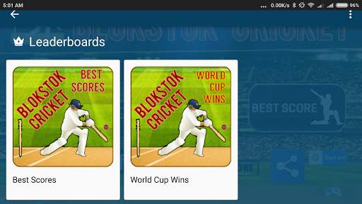 Blokstok Cricket screenshot 8