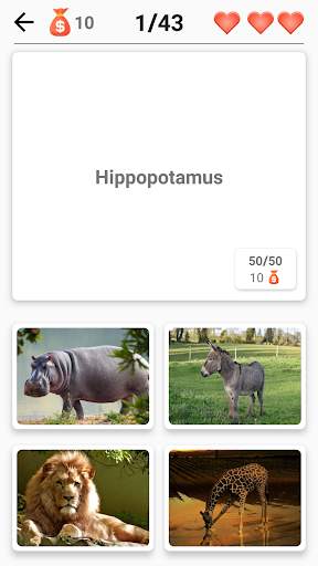 Mammals – Learn All Animals in screenshot 7