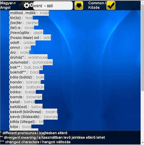 My Memory HUN-ENG Dictionary screenshot 3