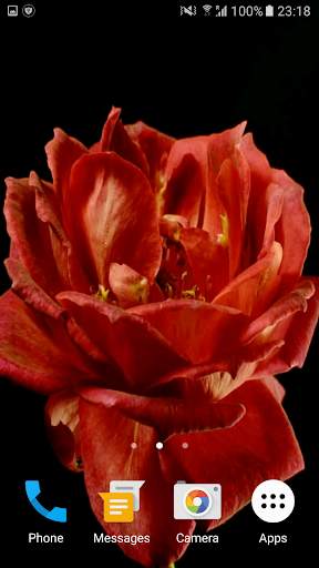 Blooming Rose 3D Video Theme screenshot 3