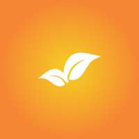 MS-CIT Refresh icon