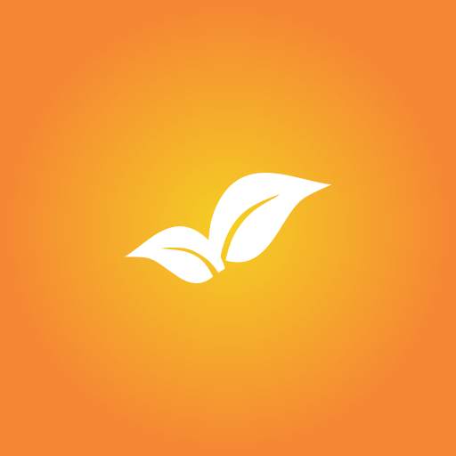 MS-CIT Refresh 1.5