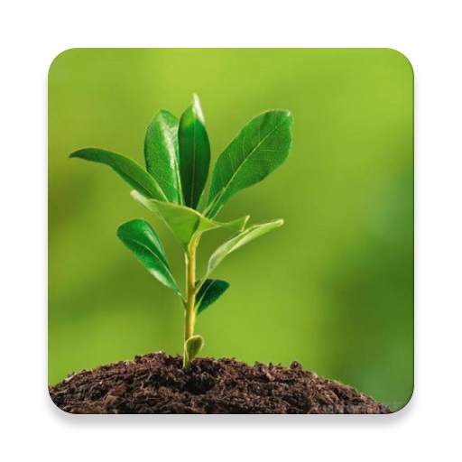 Environmental Ecology 1.1
