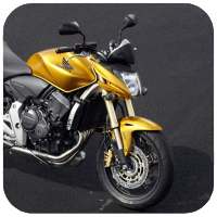HORNET icon